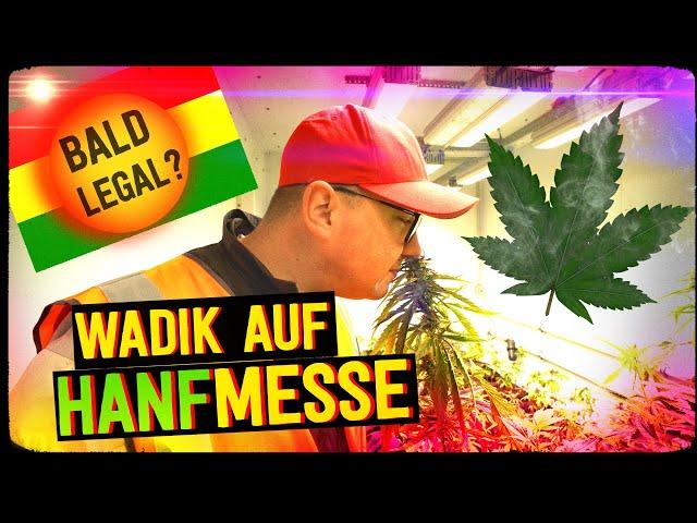 WADIK AUF HANFMESSE. WIRD GRASS LEGAL?