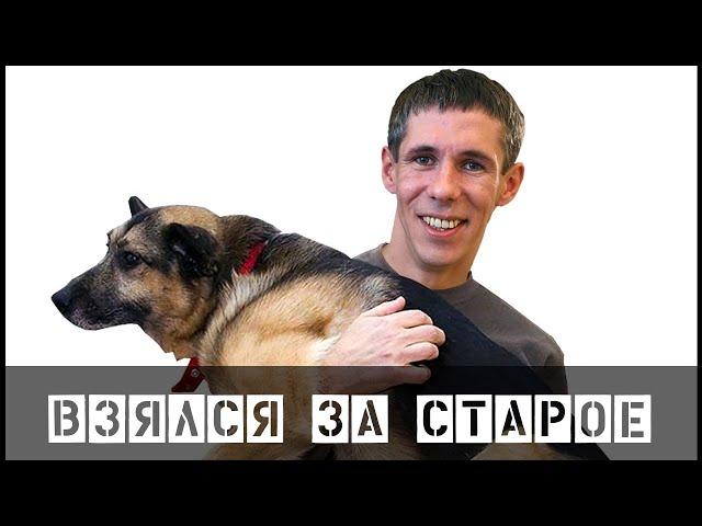 "Взялся за старое": женившийся Алексей Панин нарядился в женское нижнее белье.