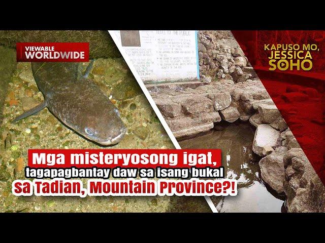 Mga misteryosong igat, tagapagbantay daw sa isang bukal?! | Kapuso Mo, Jessica Soho