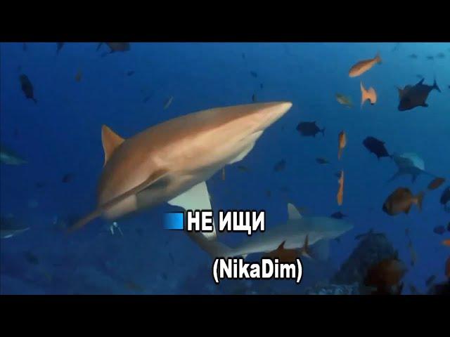 NikaDim -Не ищи -караоке