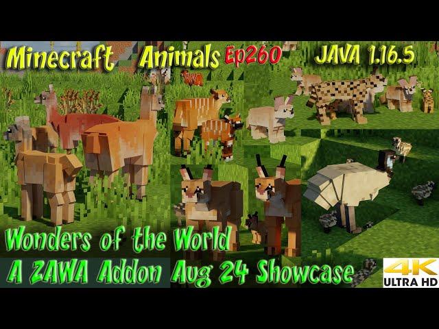 Wonders of the World Mod - A ZAWA Addon Showcase Aug24 JAVA 1.16.5 Minecraft Animals Ep260