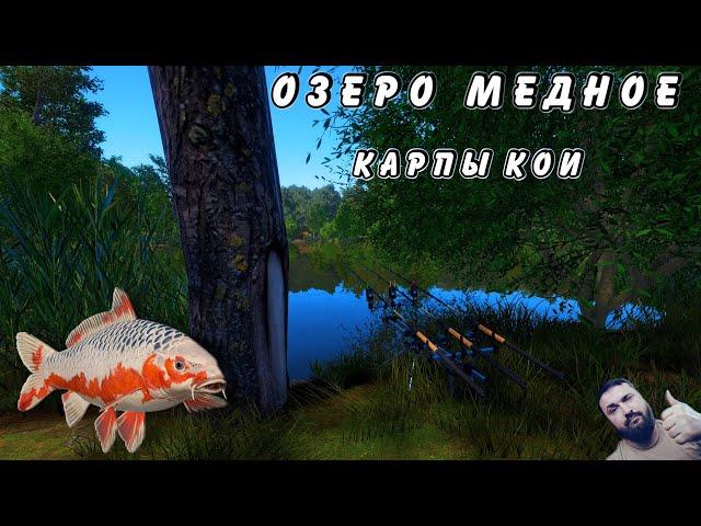 Озеро Медное Карпы Кои. Русская Рыбалка 4