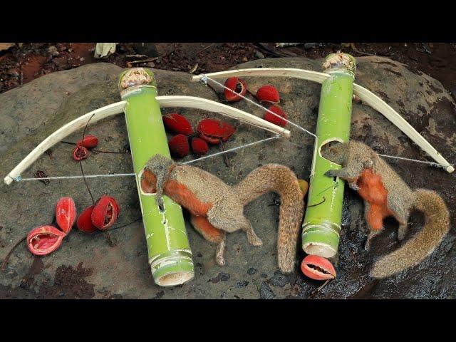 amazing bow trap to catch jungle rats eat red foods in rainy season