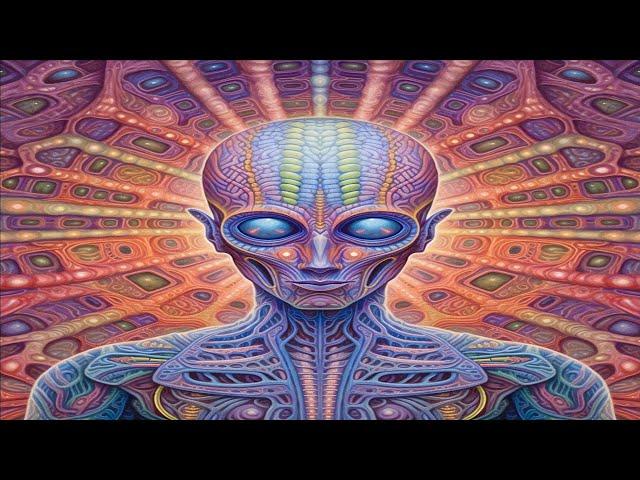 The Most Profound Trip Reports of 2023 | Part One