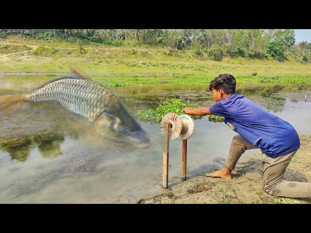 Amazing Fish Trap 2024| Traditional Catching/Hunting Fish With Bamboo Tools Hook From Village River