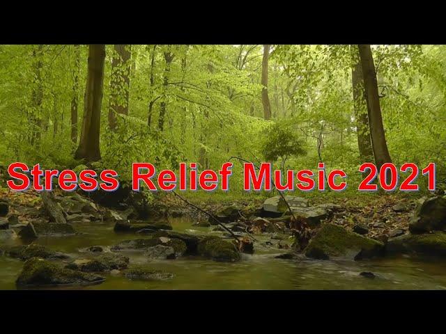 Ultimate Relaxing Music for Stress Relief in 2021 | Deep Sleep | Memory Concentration |