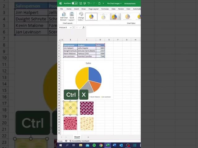 How to paste images on pie charts in Excel!