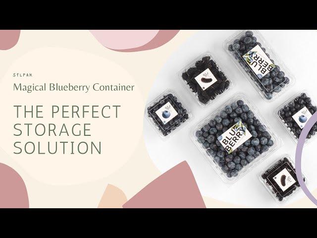 Magical Blueberry Container: The Perfect Storage Solution
