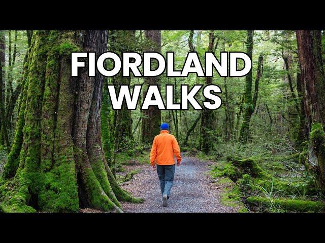 MUST KNOW! Fiordland's Best Kept Secret Hikes