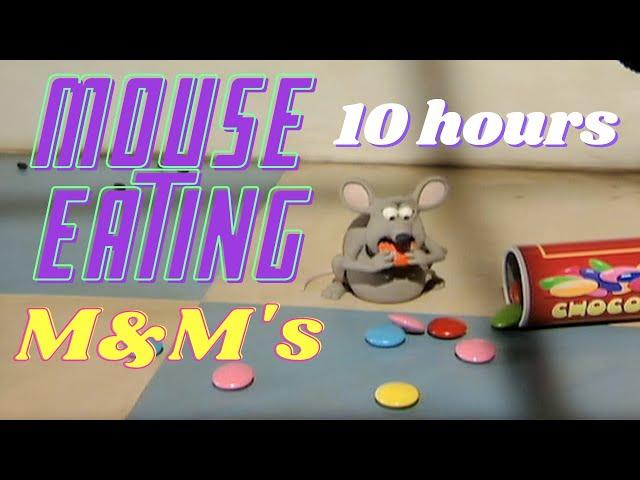 Mouse Eating M&M’s 10 Hours