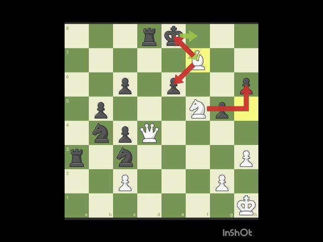 Analysis of Checkmate