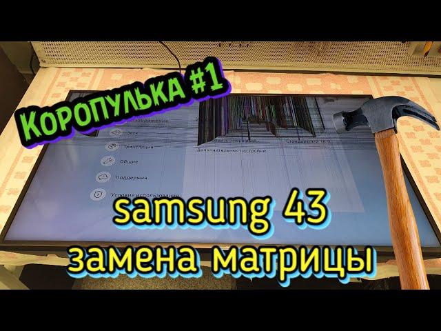 Коропулька #1. Замена матрицы на телевизор Samsung 43''