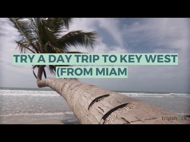 Try a Day Trip to Key West (from Miami)