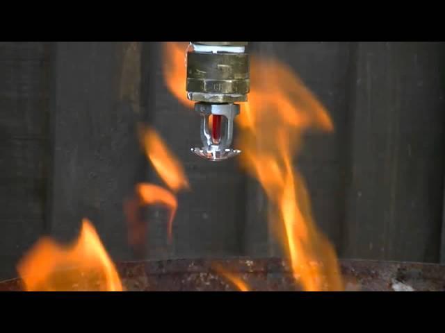 Fire sprinkler test with water