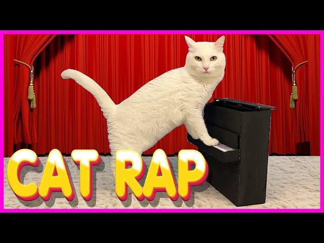 CAT SONG - IN REAL LIFE