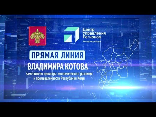 Прямая линия. Владимир Котов. 01.02.23