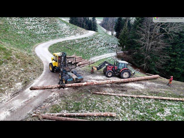 Langholz seilen mit Kombischlepper und Seilwinde 🪓