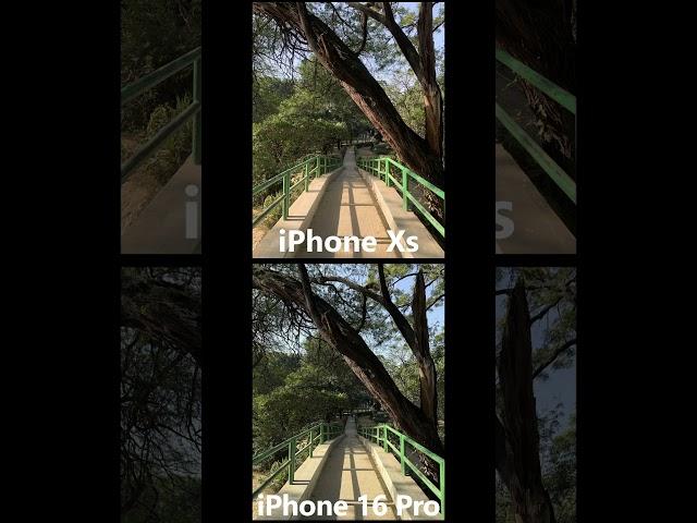 iPhone Xs Camera Test in 2025 vs iPhone 16 Pro