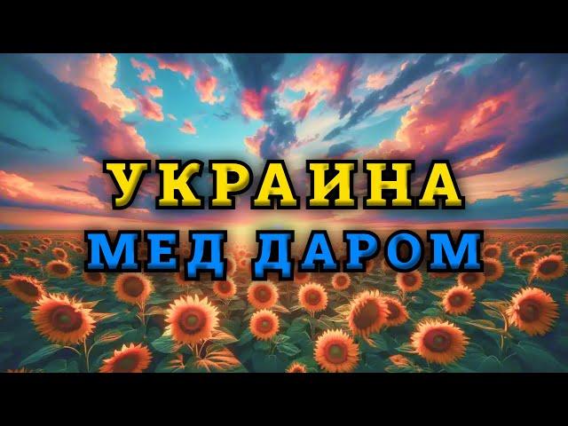 Что случилось с ценой на украинский мед.