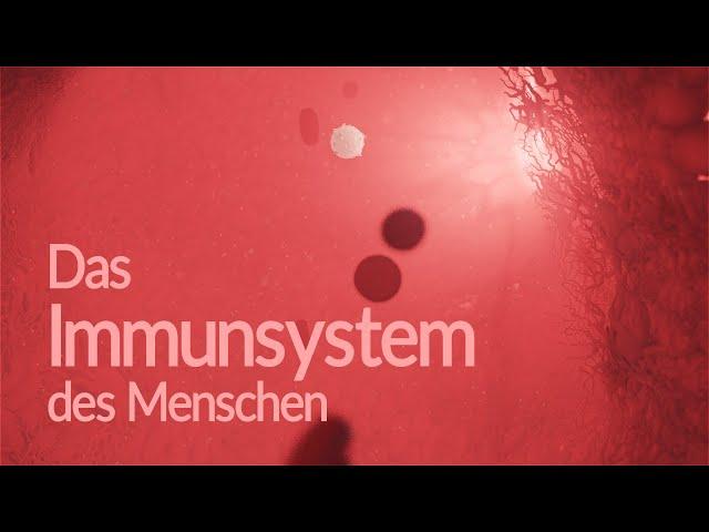 Immunsystem des Menschen - Aufbau und Funktion (Animation)