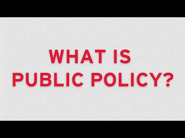 What is Public Policy?