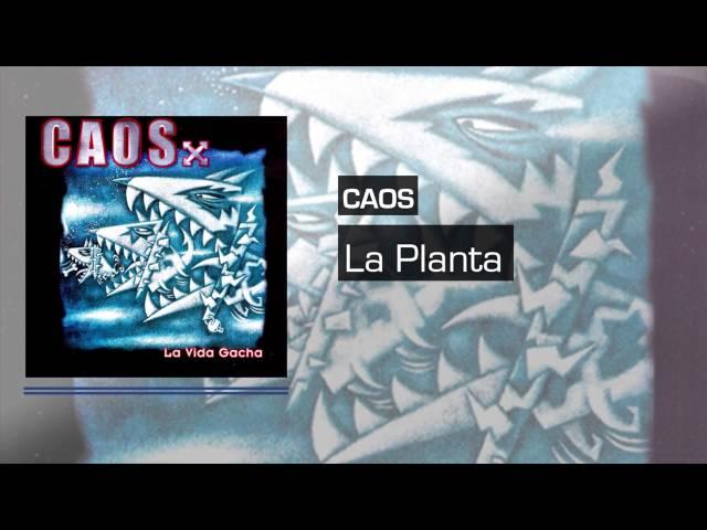 CAOS - La Planta