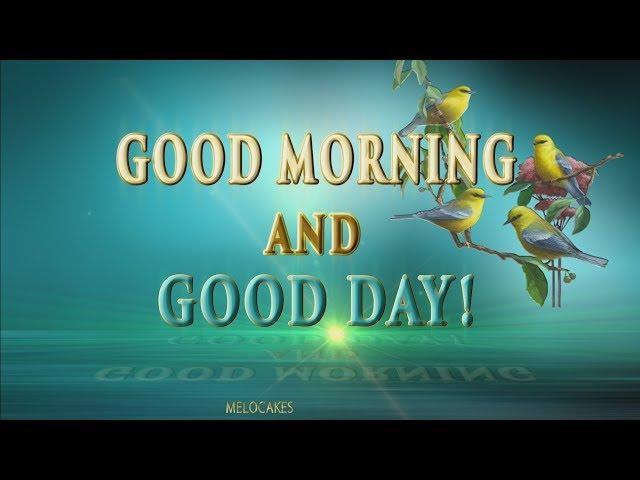  Good Morning and Good Day4K Animation Greeting Cards