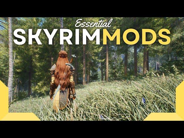 My ESSENTIAL Skyrim Mods for 2024! | A Catalog of Mods