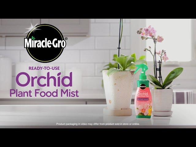 How to Use Miracle-Gro Orchid Mist