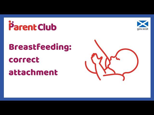 Breastfeeding: correct attachment