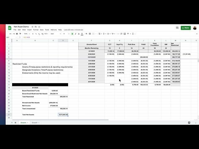 Restricted Assets in Net Assets (Equity)