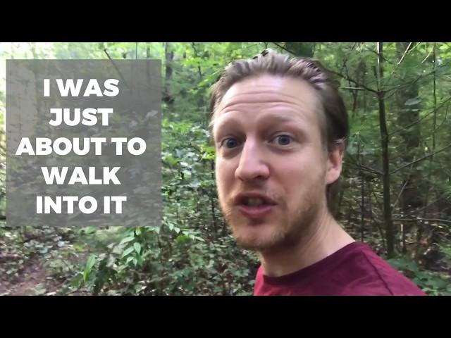 VLOG: GO FOR A HIKE  | LEARN EVERYDAY ENGLISH - WITH SUBTITLES AND PHRASES)