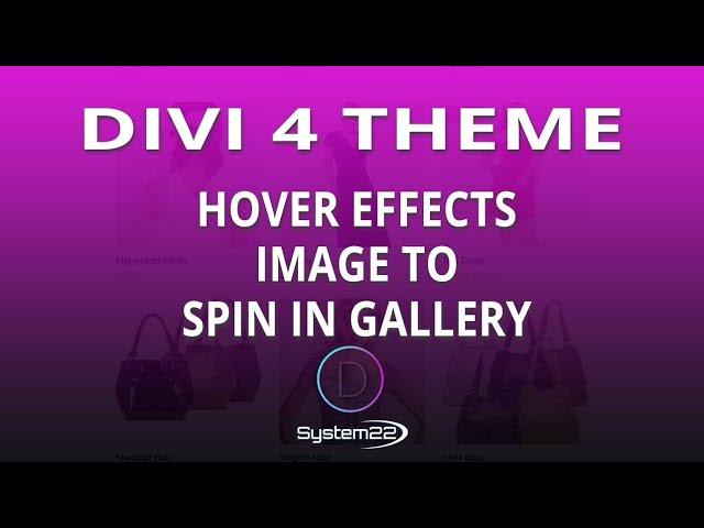 Divi Theme Hover Effects Image To Spin In Gallery