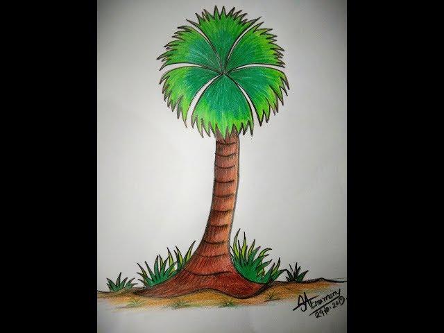 How to draw a palm tree(তালগাছ) with simple steps