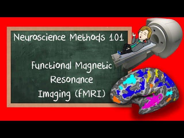 Functional Magnetic Resonance Imaging (fMRI) explained | Neuroscience Methods 101