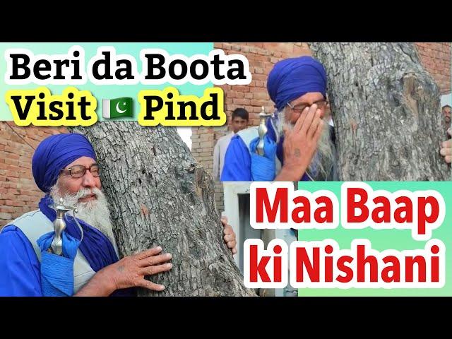 Meri Maa Baap ki Nishani Beri Da Boota || Sardar ji Visits Pakistani Pind After 75 years