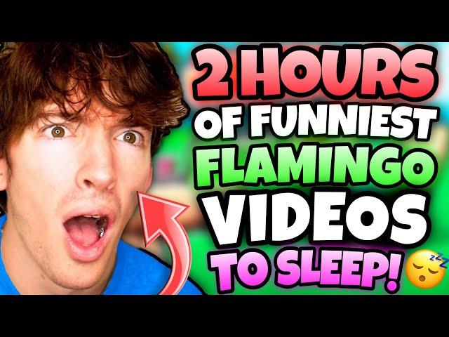 *2 HOURS* OF “FUNNIEST” FLAMINGO VIDEOS TO FALL ASLEEP! (ROBLOX)