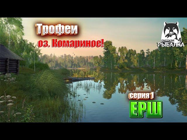 Русская рыбалка 4: Трофейный Ерш на оз. Комариное