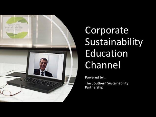 How to Professionalise Sustainability with IEMA
