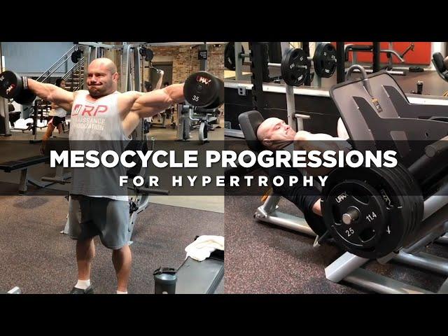 Mesocycle Progressions for Hypertrophy | Dr. Mike Israetel
