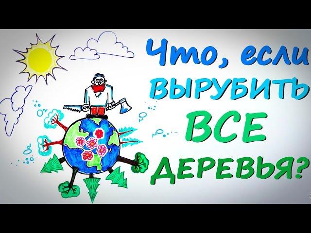 Что,  если вырубить все деревья? — Научпок