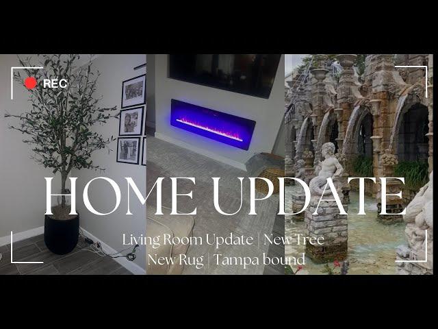 NEW VLOG | HOME UPDATE: LIVING ROOM UPDATE | NEW RUG | NEW TREE AND PLANTER | TAMPA BOUND & MORE