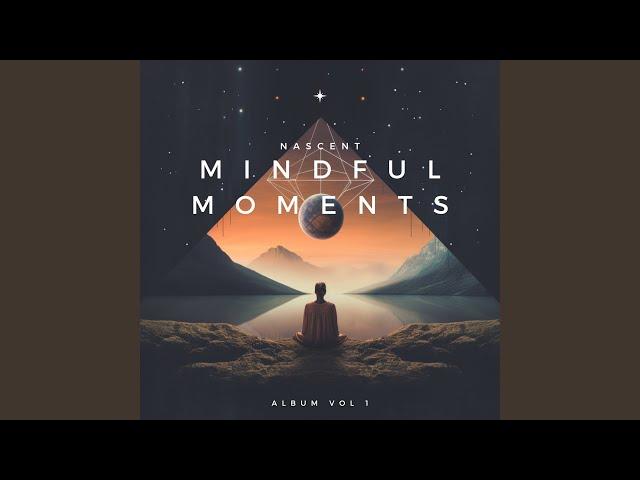 Mindful Moments