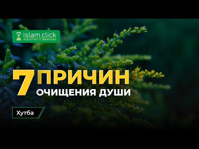 7 причин очищения души | Абу Яхья Крымский