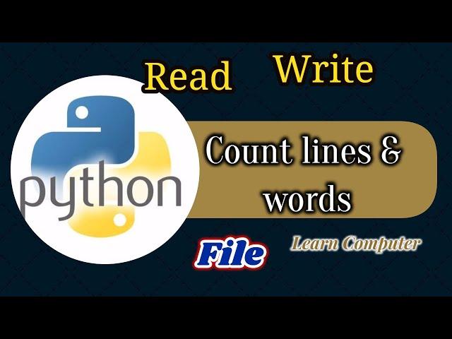 Python : Count lines and words in a file