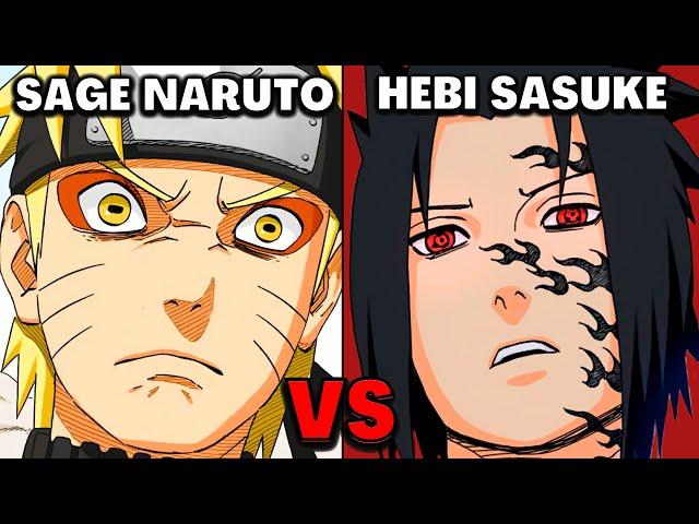 Sage Mode Naruto VS Hebi Sasuke - The Correct Answer