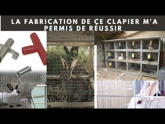 le lapin :comment fabriquer un bon clapier pour assurer la réussite de son élevage ?(rabbit farming)