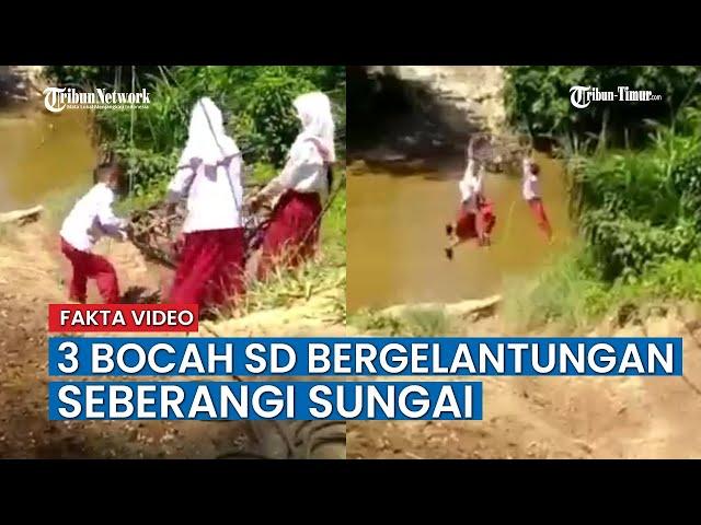 Ini Cerita Sebenarnya di Balik Video Viral 3 Bocah SD Bergelantungan Seberangi Sungai di Riau