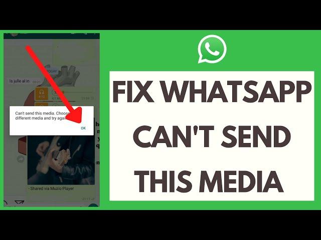 Fix WhatsApp Can't Send This Media, Choose a Different Media and Try Again
