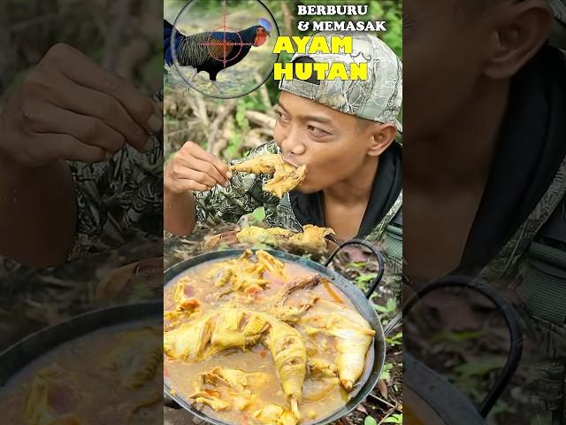 BERBURU & MEMASAK AYAM HUTAN ‼️ #shorts #berburu #nugrohohuntingvlog